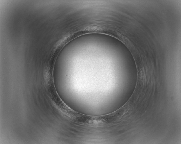 X0000054370208200508051604