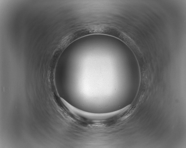 X0000054370209200508051604