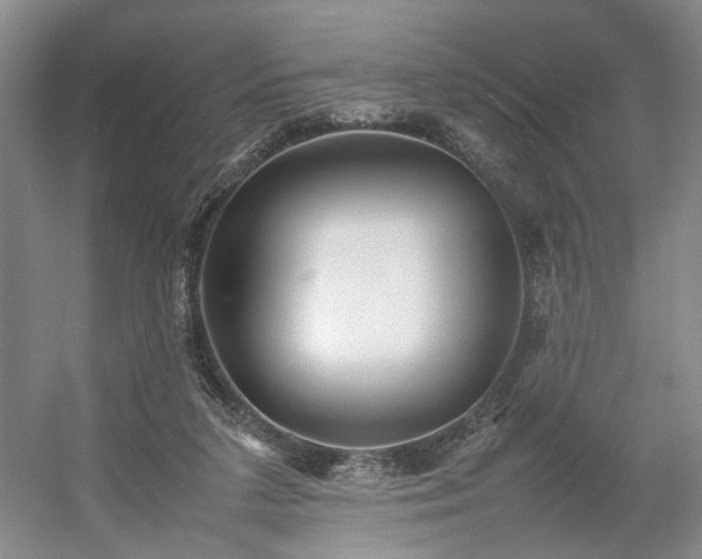 X0000054370211200508051604