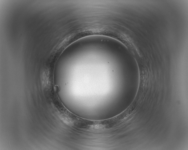 X0000054370212200508051604