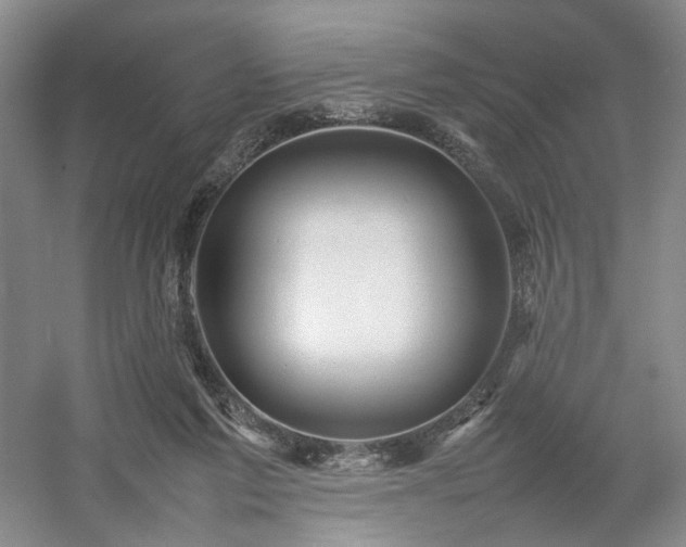 X0000054370213200508051603