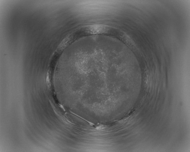 X0000054370214200508051603