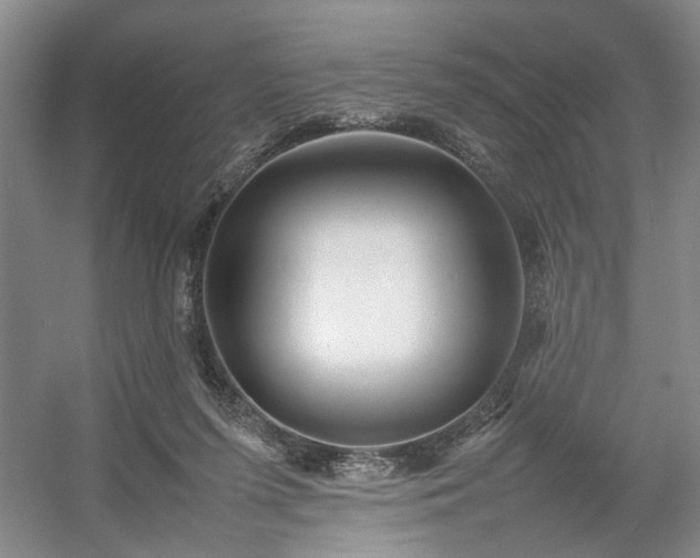 X0000054370215200508051603