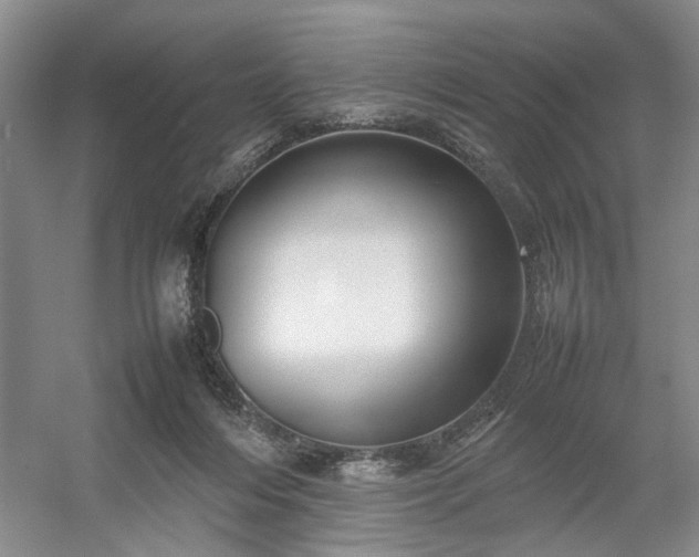 X0000054370216200508051603