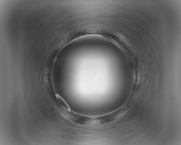 X0000054370217200508051603