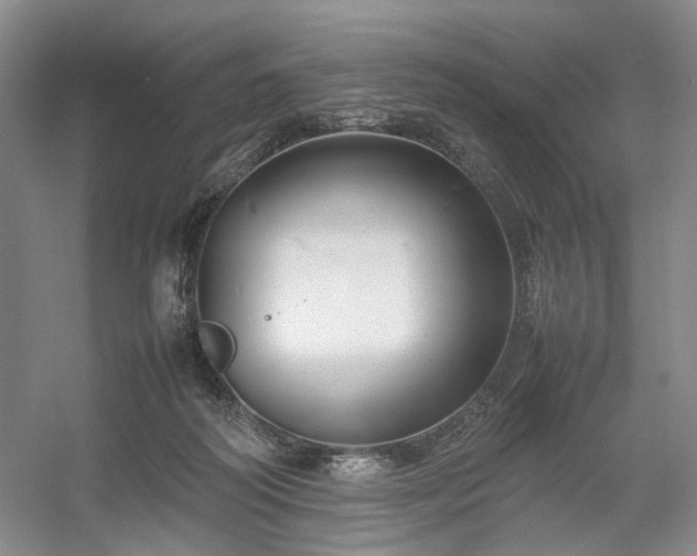 X0000054370218200508051603