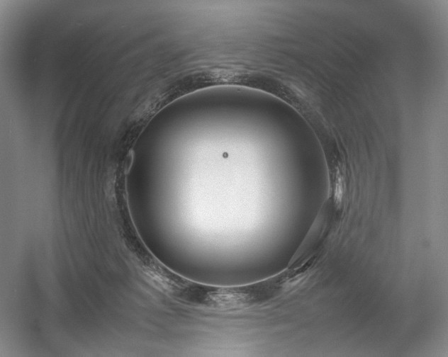 X0000054370221200508051603