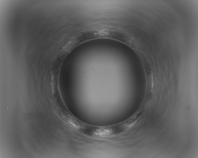 X0000054370223200508051603