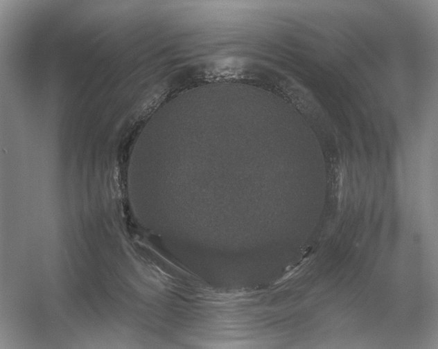 X0000054370224200508051603