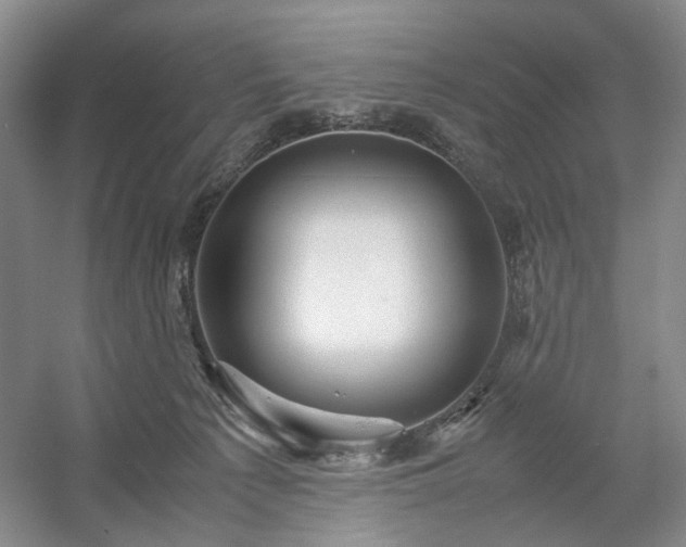 X0000054370225200508051603