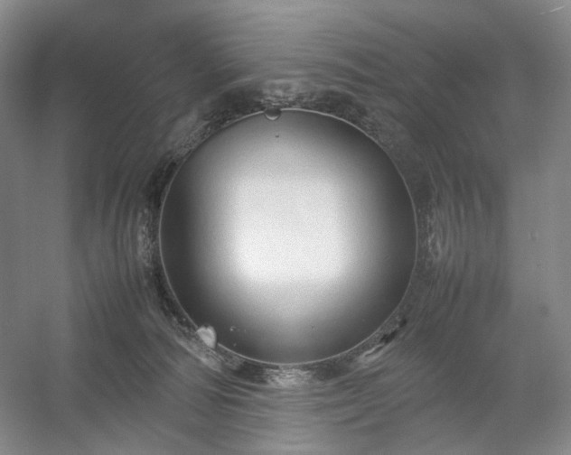 X0000054370226200508051603