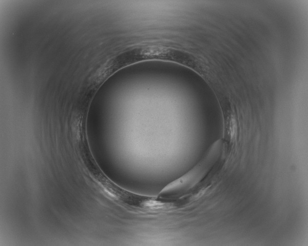 X0000054370227200508051603