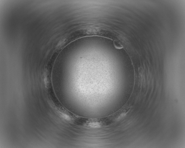 X0000054370228200508051603