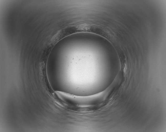 X0000054370229200508051603