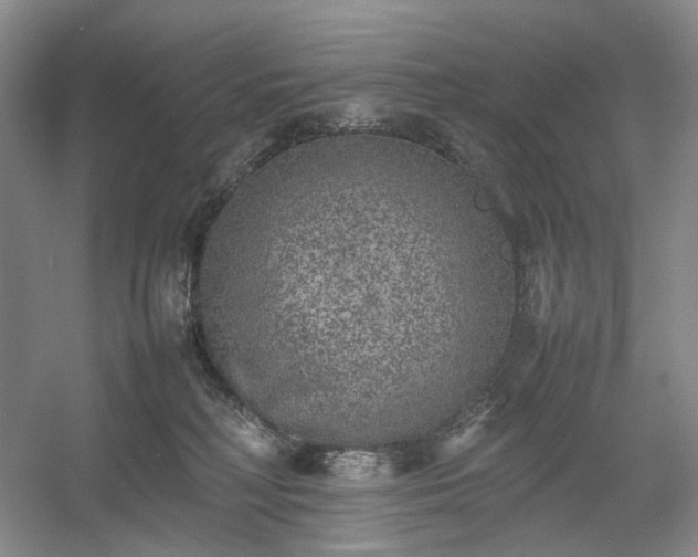 X0000054370230200508051603