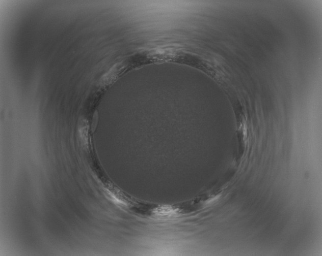 X0000054370231200508051603