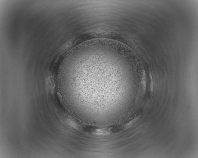 X0000054370232200508051603