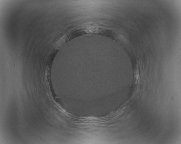 X0000054370233200508051603