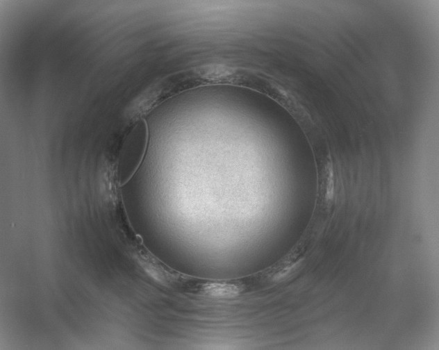 X0000054370234200508051603