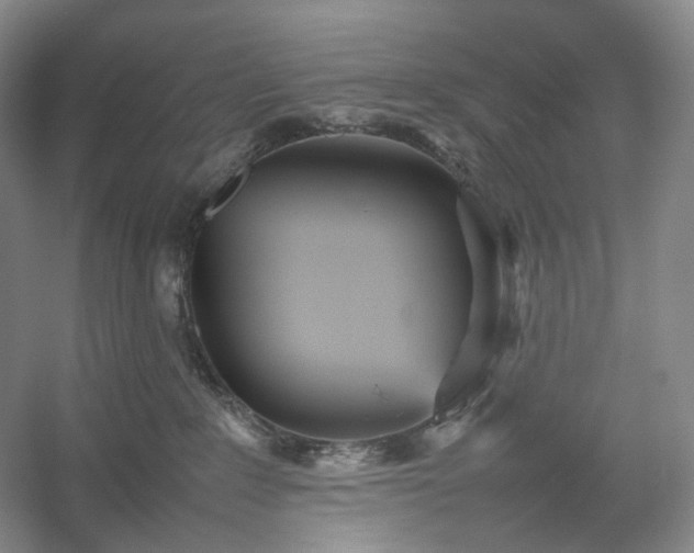 X0000054370235200508051603