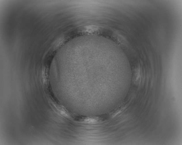 X0000054370236200508051603