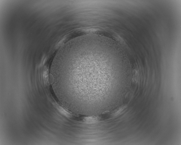 X0000054370238200508051603