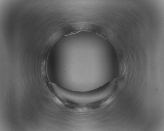 X0000054370239200508051603