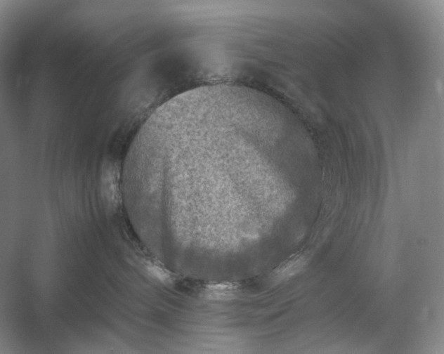 X0000054370240200508051603