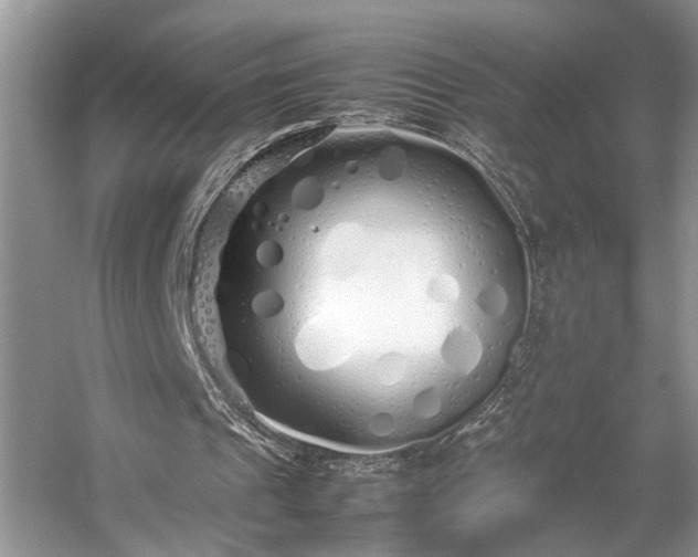 X0000054370241200508051602