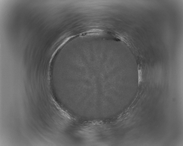 X0000054370243200508051602