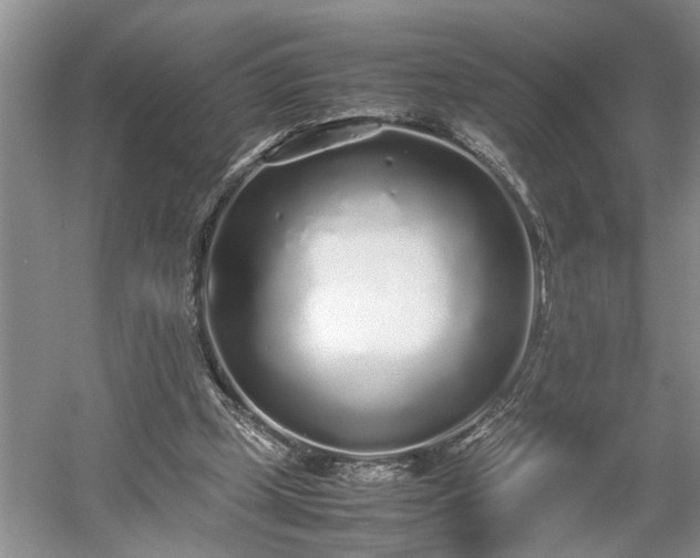 X0000054370249200508051602