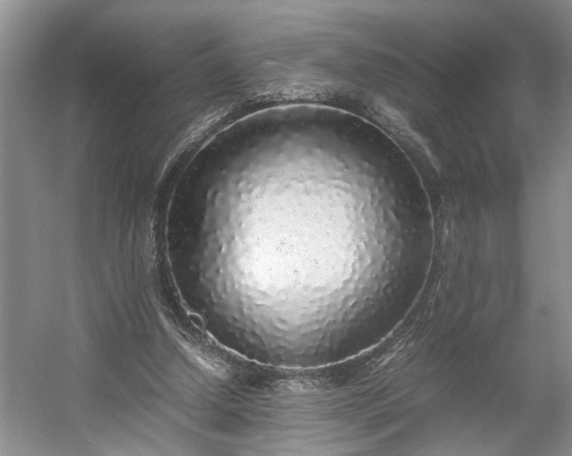 X0000054370250200508051602