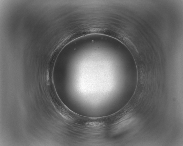 X0000054370251200508051602