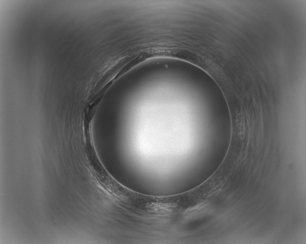 X0000054370255200508051602