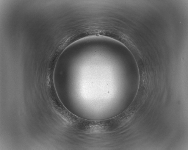 X0000054370259200508051603