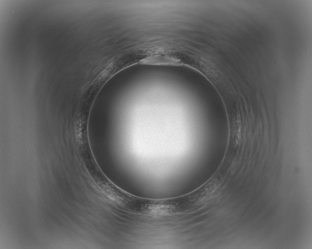 X0000054370268200508051603