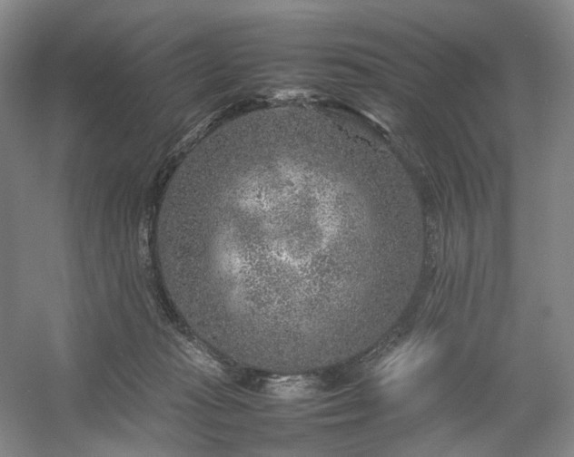 X0000054370269200508051603