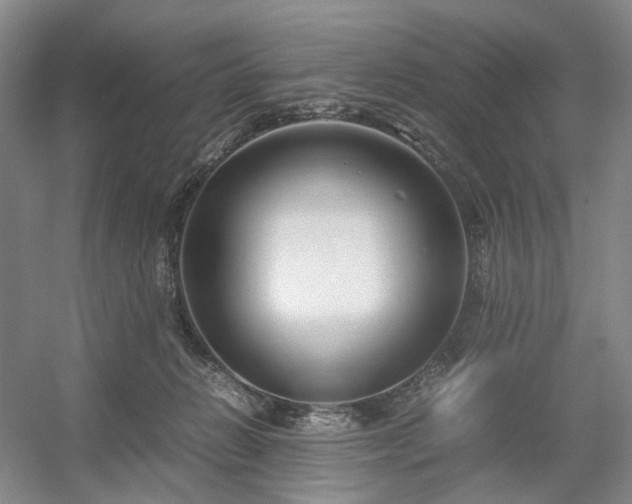 X0000054370270200508051603