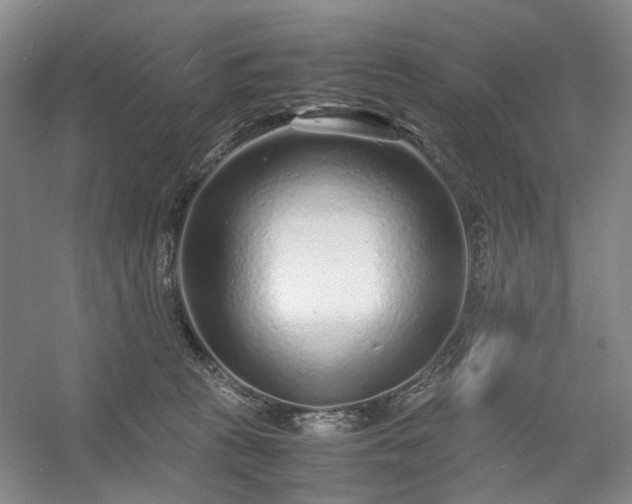 X0000054370273200508051603