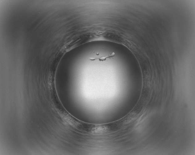 X0000054370274200508051603