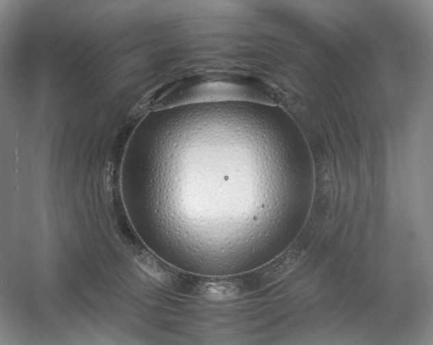 X0000054370275200508051603