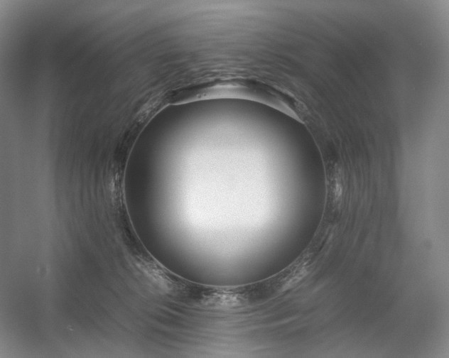 X0000054370276200508051603