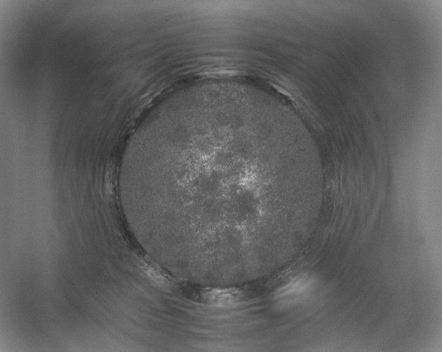 X0000054370277200508051603