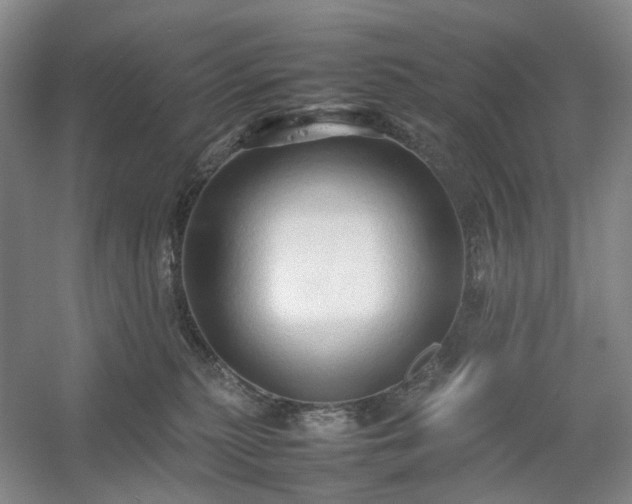 X0000054370279200508051603