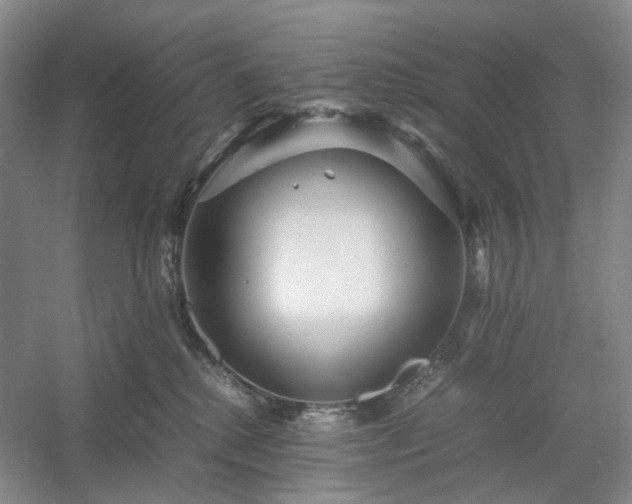 X0000054370280200508051603