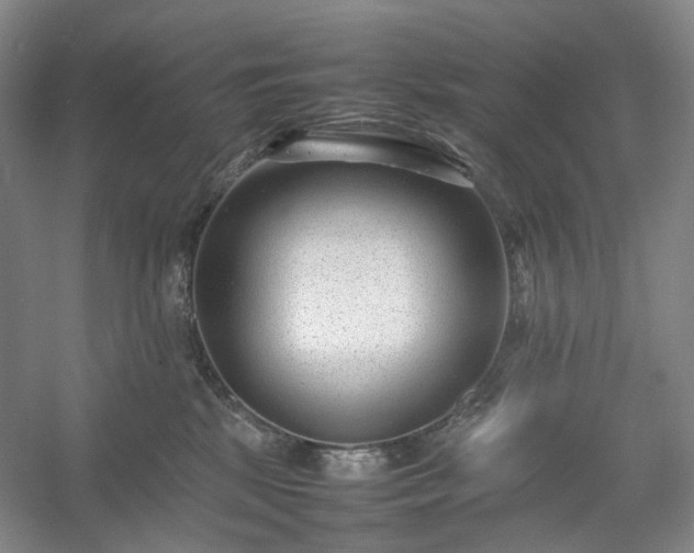 X0000054370281200508051603