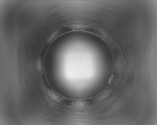 X0000054370282200508051603