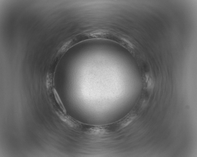 X0000054370284200508051603