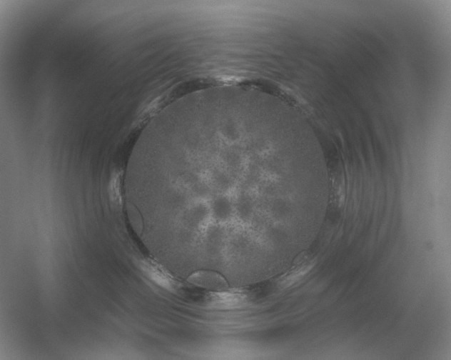 X0000054370286200508051603