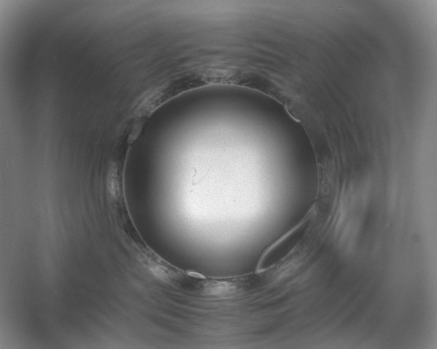 X0000054370287200508051603